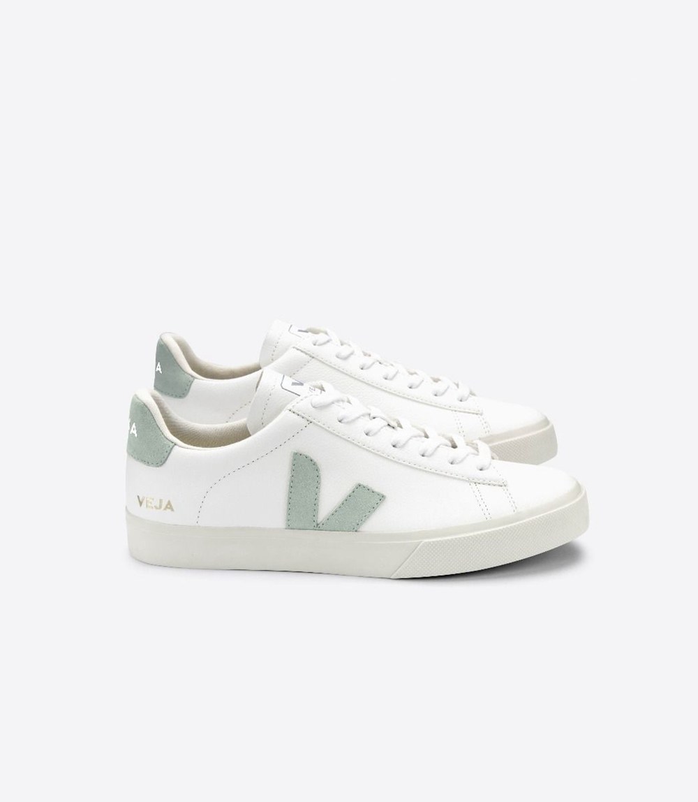 Tenis Veja Hombre - Campo Chromefre - Blancos - 187NSJTHW